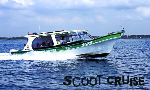 scoot fast cruise, scoot fast boat, lembongan transfer, gili transfer, lembongan fast boat, gili fast boat