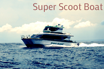 scoot fast cruise, scoot fast boat, lembongan transfer, gili transfer, lembongan fast boat, gili fast boat